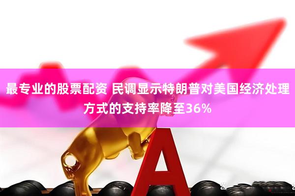 最专业的股票配资 民调显示特朗普对美国经济处理方式的支持率降至36%