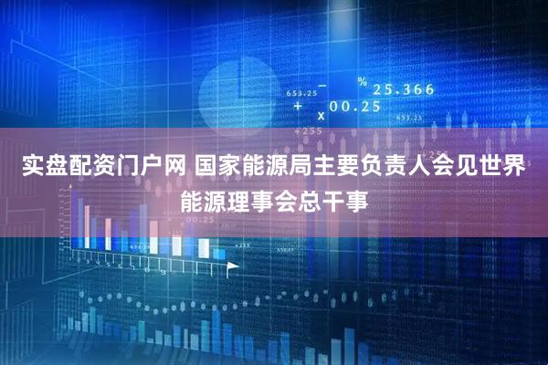 实盘配资门户网 国家能源局主要负责人会见世界能源理事会总干事