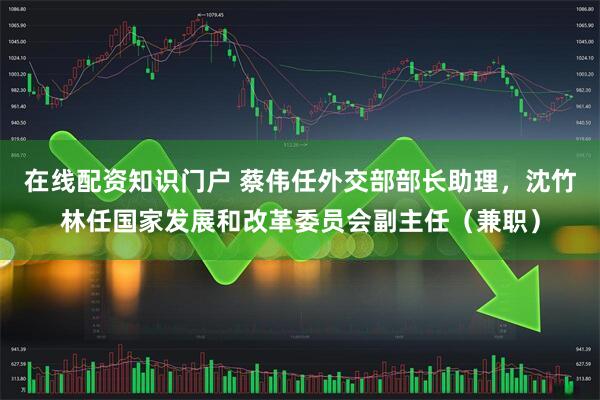 在线配资知识门户 蔡伟任外交部部长助理，沈竹林任国家发展和改革委员会副主任（兼职）